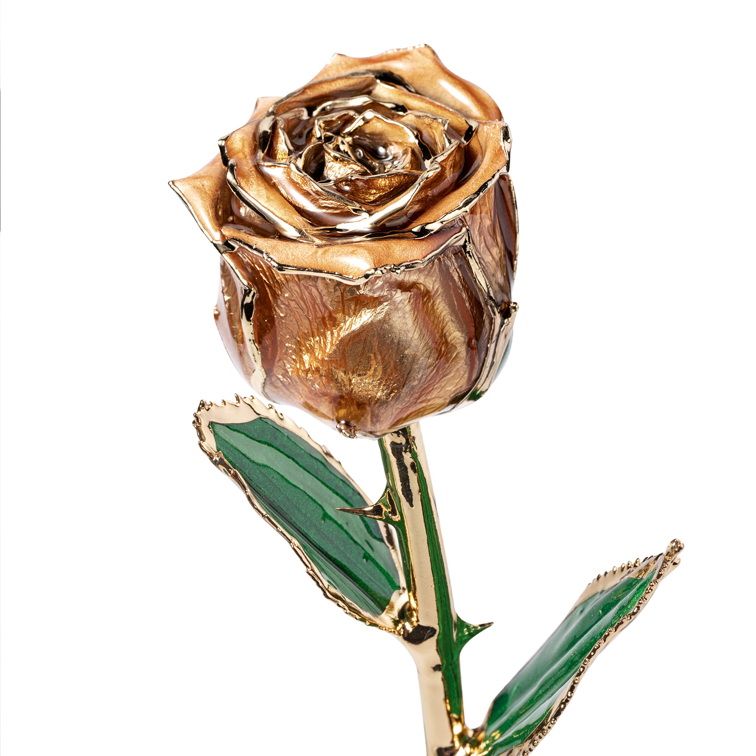 Amazon.com: DEFAITH 24k Gold Dipped Rose with Crystal Heart Stand