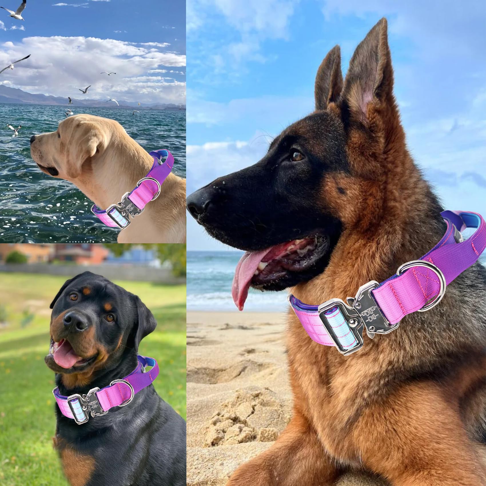 Comfluxe Tactical Dog Collar, Wide Thick Heavy Duty Dog Collar with Handle, Soft Neoprene Padded Military-Grade Nylon Training Collar with Quick Release Metal Buckle for Large Dogs(Purple, L,XL)