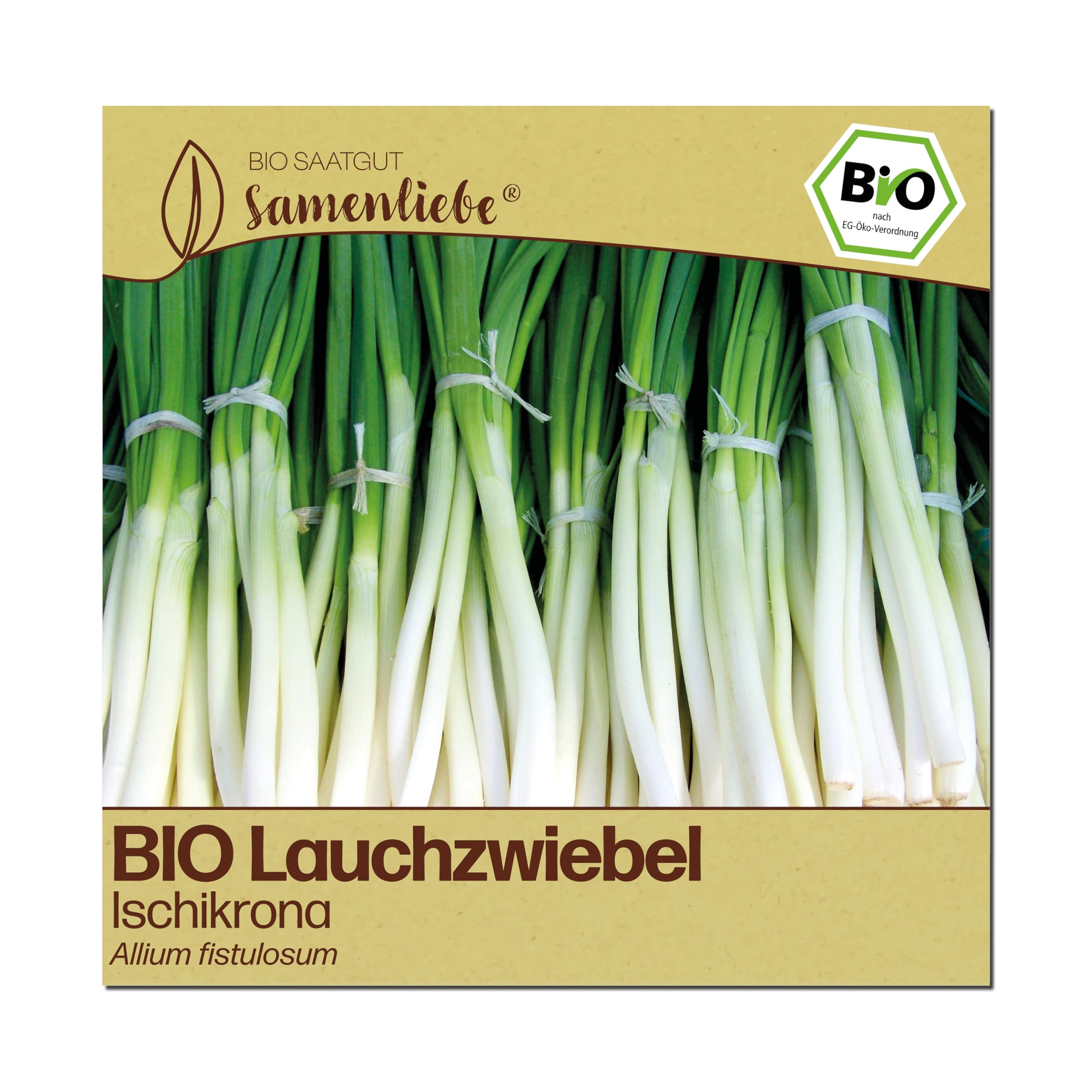 Samenliebe BIO Lauchzwiebel Samen | Frühlingszwiebel Ischikrona - winterhart - samenfestes BIO Saatgut