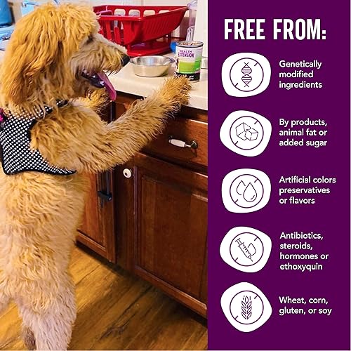 Miniatura 5 de Health Extension Paquete variado de alimentos húmedos para perros, pollo, cordero y pavo Entree enlatados  12.5 onzas cada uno, sin gluten y granos,