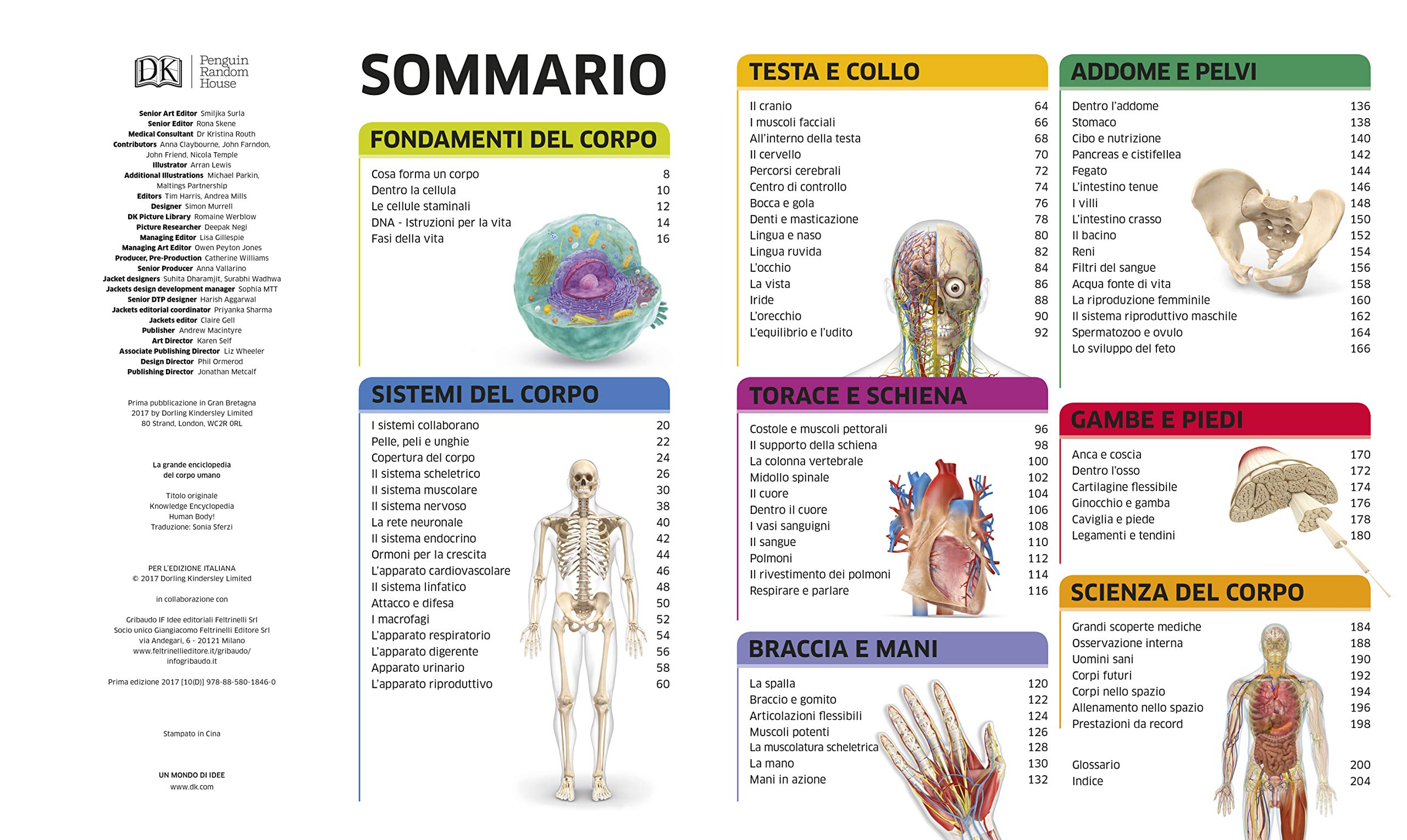 La grande enciclopedia del corpo umano. Ediz. a colori