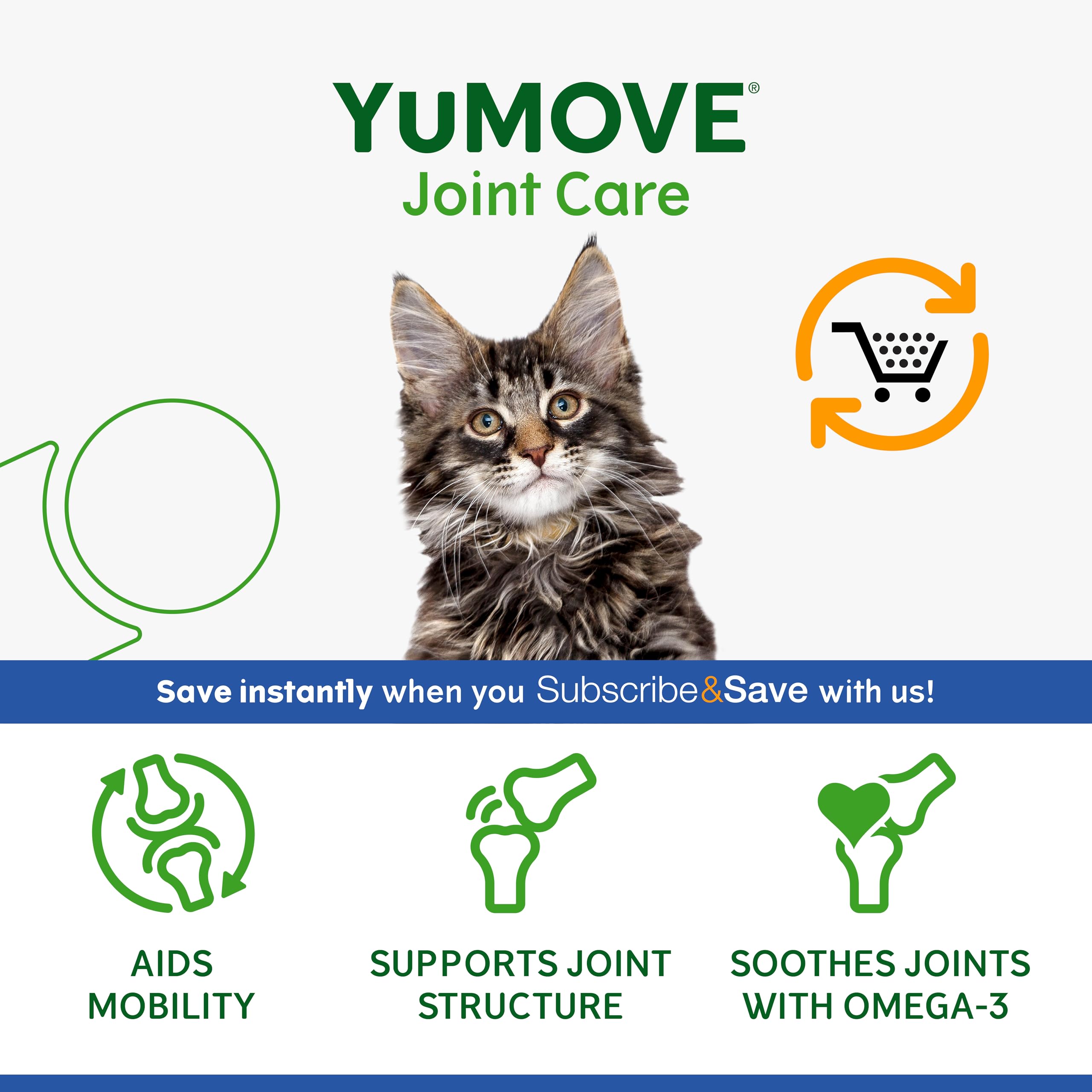 Suplement YuMOVE Senior Cat – ochrona i wsparcie stawów, z glukozaminą, chondroityną i małżem nowozelandzkim, dla starszych kotów ze sztywnościąstawów, 60 kapsułek – opakowanie może się różnić
