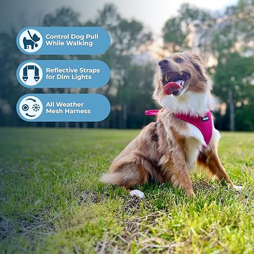 Miniatura 3 de Air Frontier - Arnés de malla para perro con correa de acero, costuras reflectantes y diseño ligero transpirable sin tirones, correas ajustables