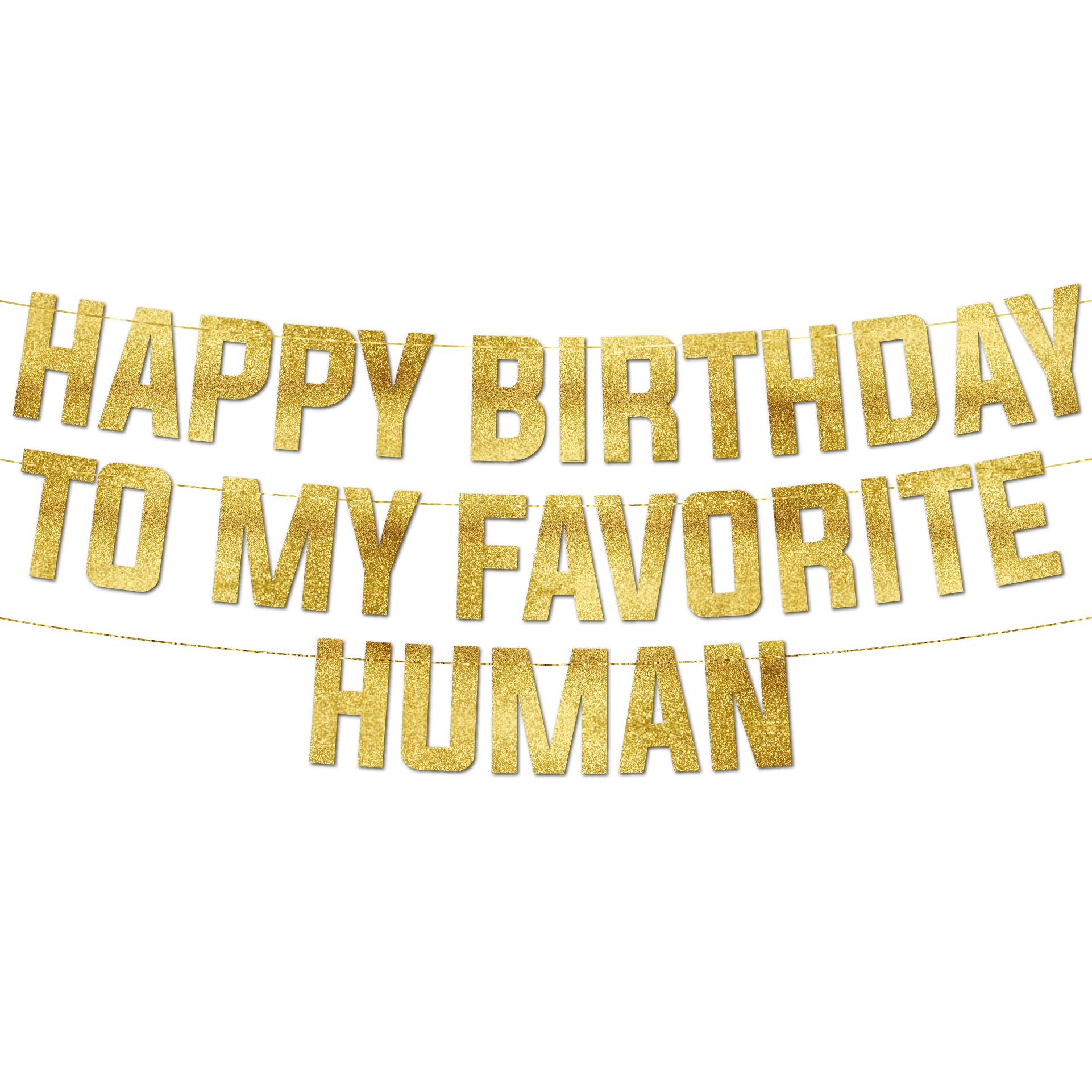 Pre-Strung Happy Birthday To My Favourite Human - Funny Birthday Gold Glitter Banner - Funny Birthday Decorations for Men and Women - Party Supplies, Bunting Gifts and Wall Decorations