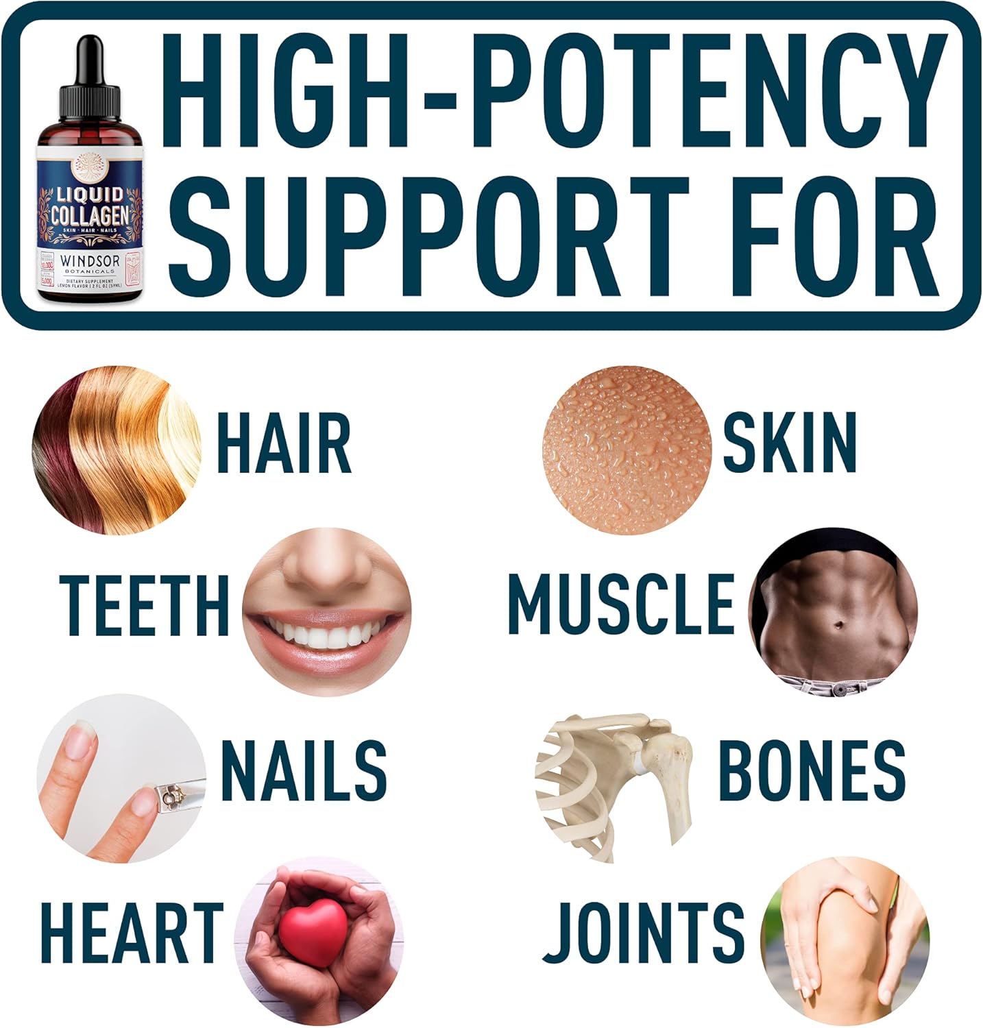 Concentrated Liquid Collagen Peptides Supplement - Hair, Skin, Nail, Joints Support - Sublingual Drops by Windsor Botanicals - 10,000mcg Collagen, 5,000mcg Biotin - Lemon Flavor - 2-Month - 2 oz : Health & Household