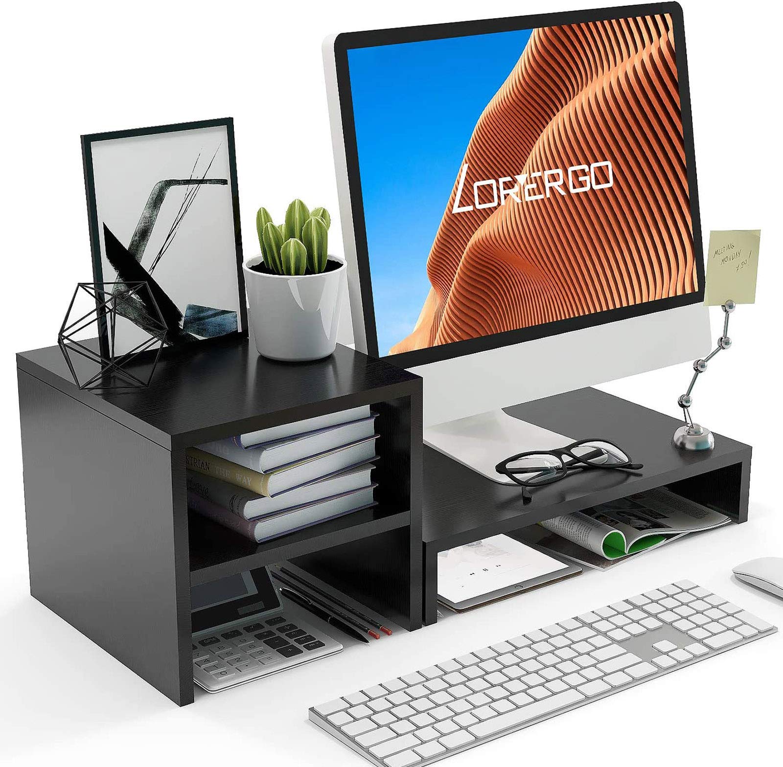 Buy LORYERGO Monitor Stand Riser Laptop Stand with 2 Tier Storage