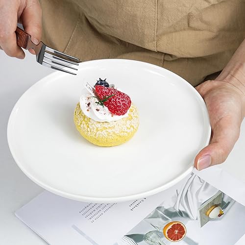 Miniatura 5 de Jassceram Juego de 6 platos llanos de 8.5 pulgadas para ensalada, postre y aperitivo, aptos para microondas, horno y lavavajillas, resistentes a los