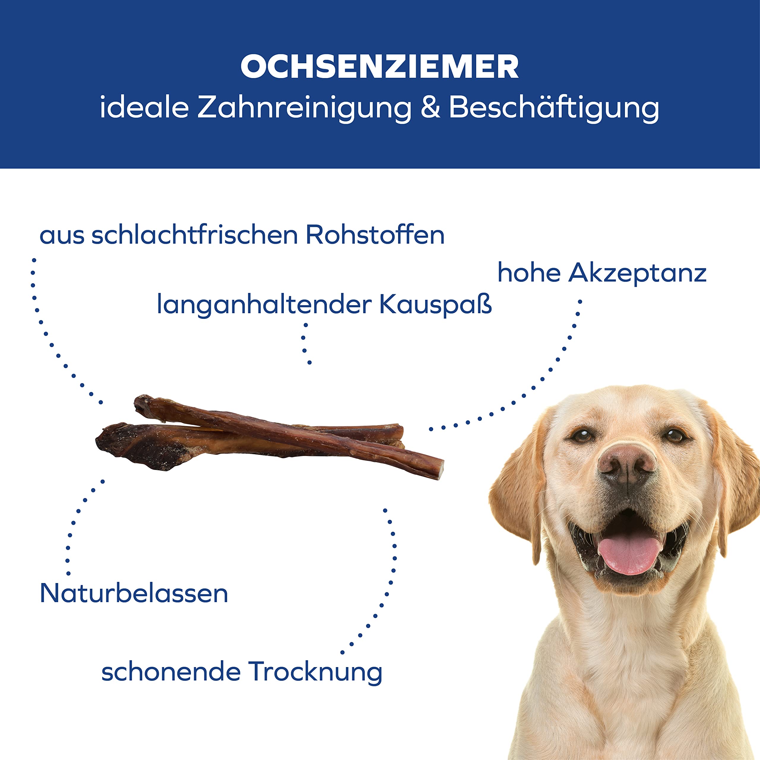 Bueyes para perros – 12 cm grandes masticables – 5 unidades para masticar de larga duración