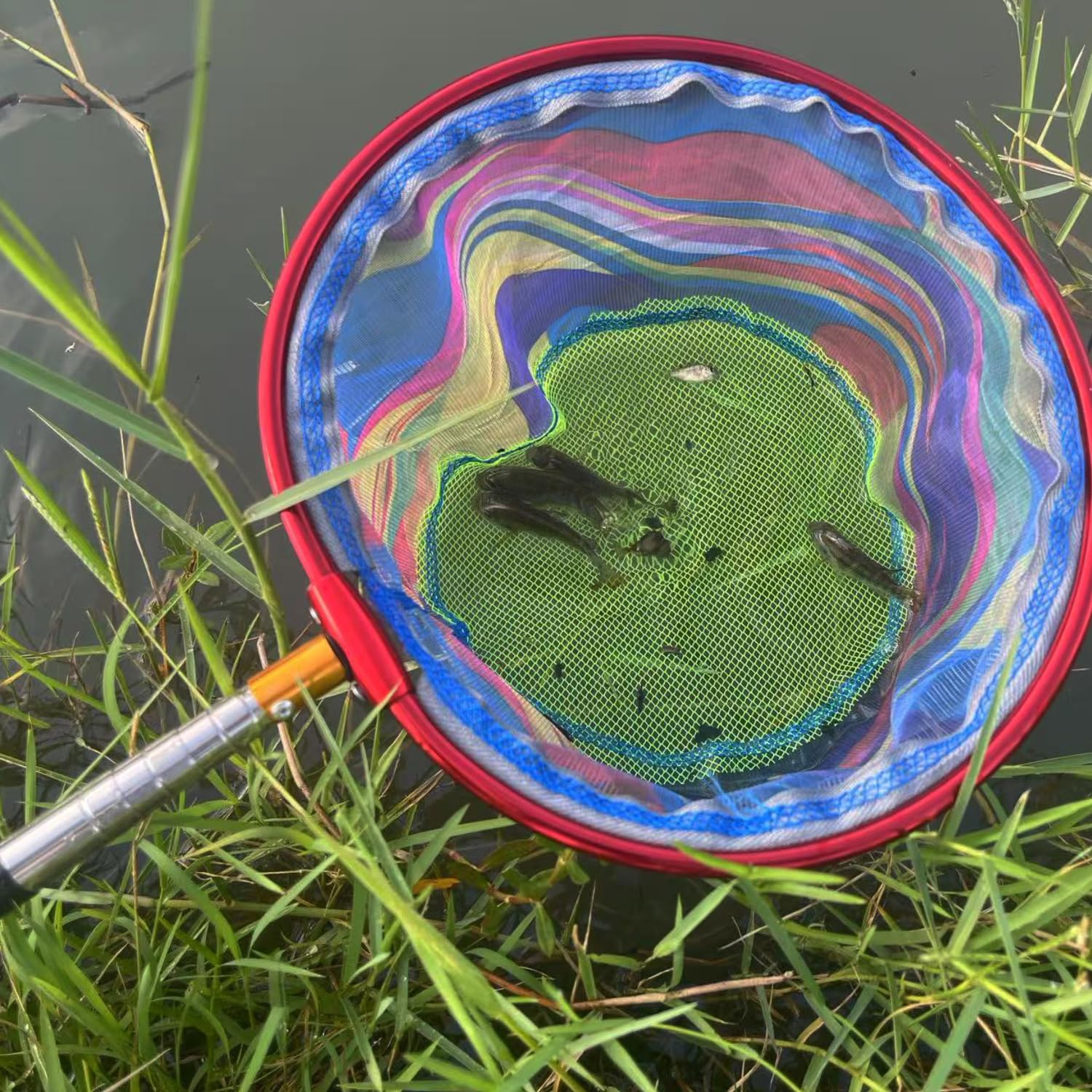 Redes de pesca con cubo, red de aterrizaje retráctil, poste de aluminio ligero con mango antideslizante para atrapar y liberar ranas, mariposas, jóvenes, al aire libre