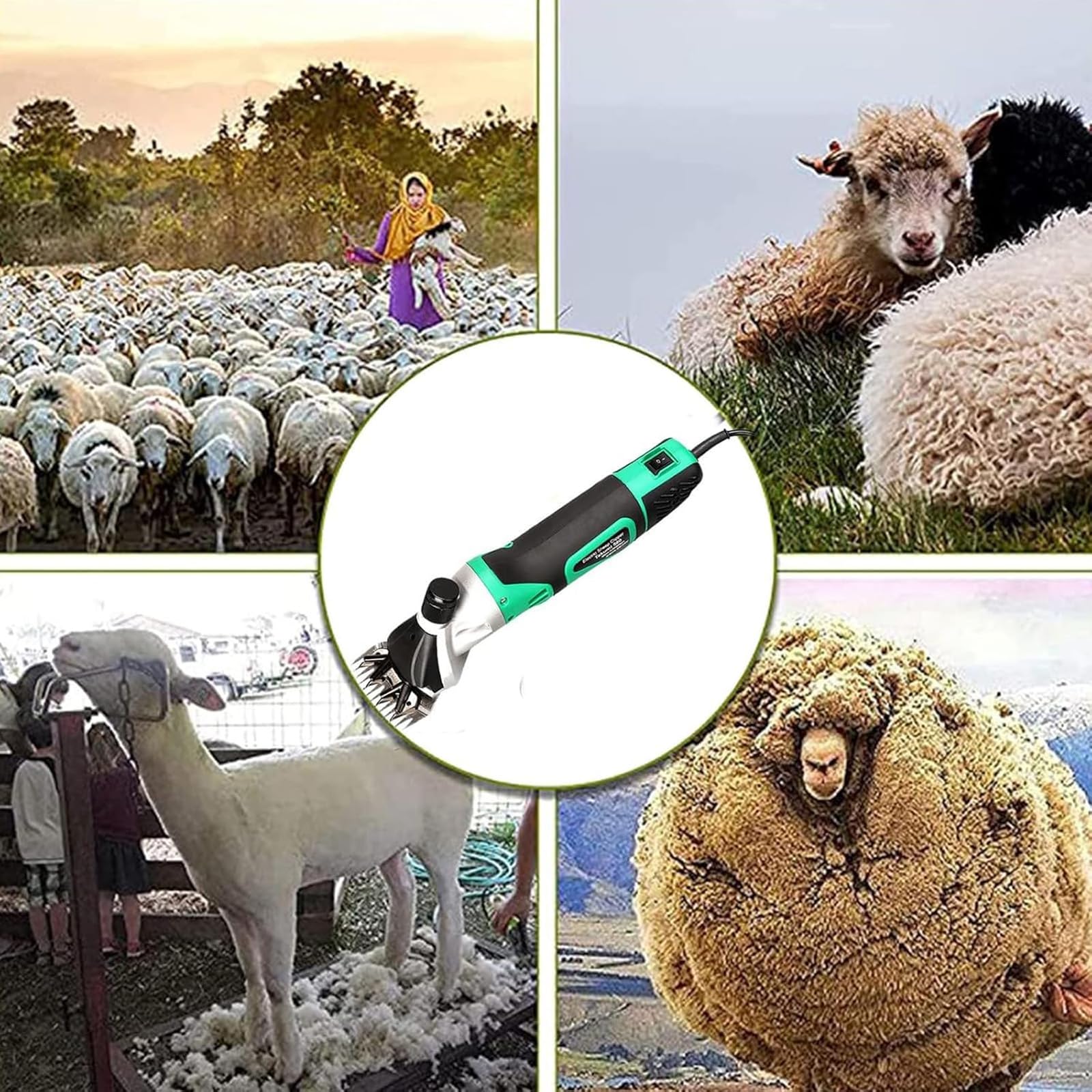 Tosatrice elettrica per pecore, 900 W, 2800 giri/min, potenti, con 6 velocità e regolazione della lama per pecore, bovini e bestiame in fattoria