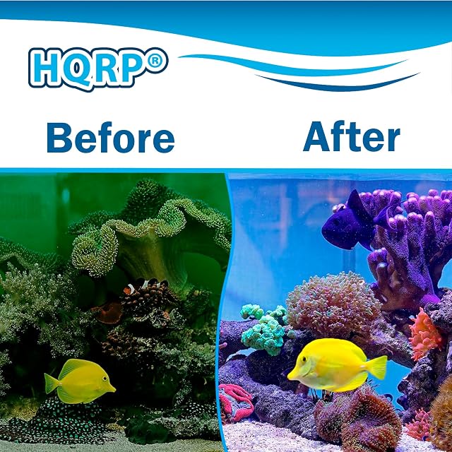 Foto 2 de 8 de HQRP 4 Filtros de Espuma de Acuario Bloque Compatible con Fluval 204, 205, 206, 304, 305, 306; A222