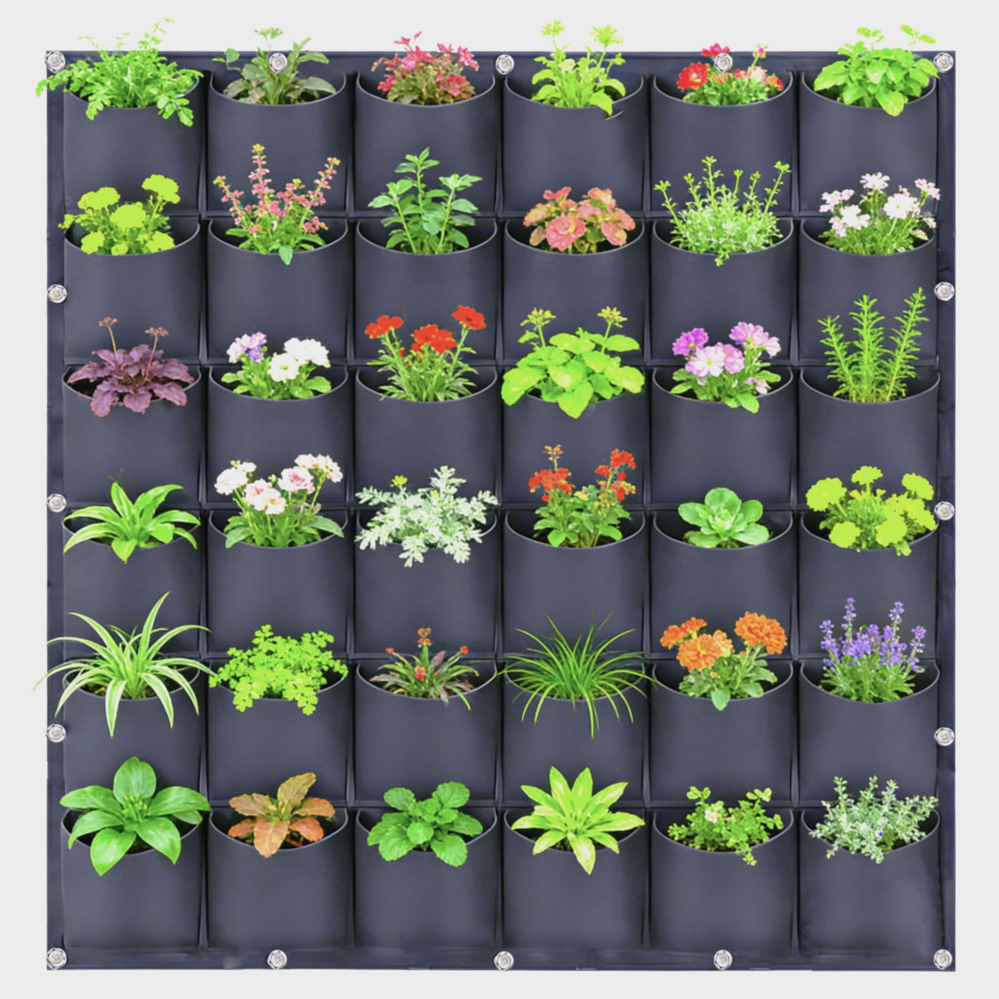 36 Pockets Garden Vertical Wall Grow Bags,Flower Pouches Hanging Bags, Gardening Vertical Greening Flower Container Plant Pouch Storage Bags for Living Wall Planter Outdoor and Garden Yard Garaged