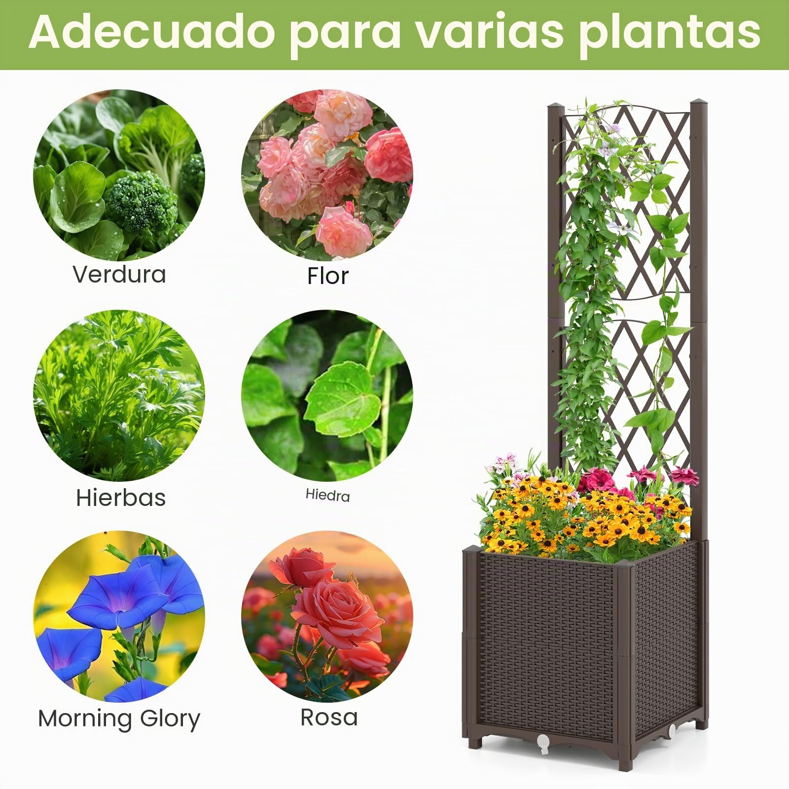 HOMASIS Cama de jardín elevada de madera con celosía, maceta de exterior con disco autoregado, agujeros de drenaje, bandeja de flores para plantas trepadoras, verduras (marrón)