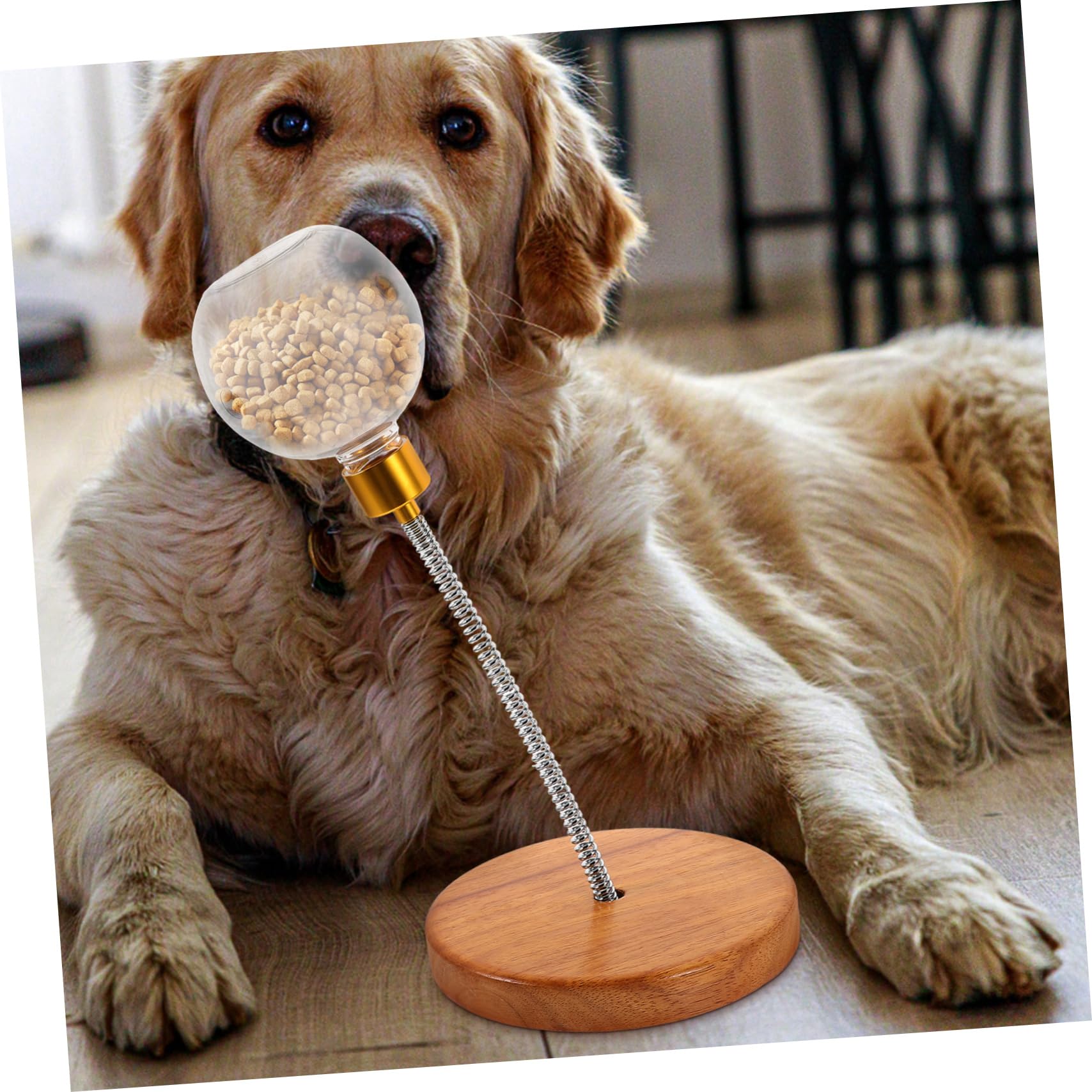 BESPORTBLE Snackball für Hunde als Leckerli Spenderball mit Langsamer Futterfreigabe Interaktives Spielzeug für Kleinen und Mittelgroßen Hund aus Kunststoff und Edelstahl