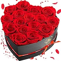 Impouo 16-Piece Eternal Preserved Red Roses in Heart Box - Lasting Birthday, Mother's Day, Valentine's Gifts for Women