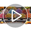 20 Bundles Artificial Flowers for Outdoors and 6 Faux Butterflies, UV Resistant Artificial Outdoor Plants Eucalyptus Silk Violet, Fake Flowers for Patio Garden Porch Home Decor (Or image 7