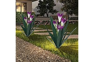 Homight Metal Mexican Yard Art Agave Lily Decorative Garden Gift