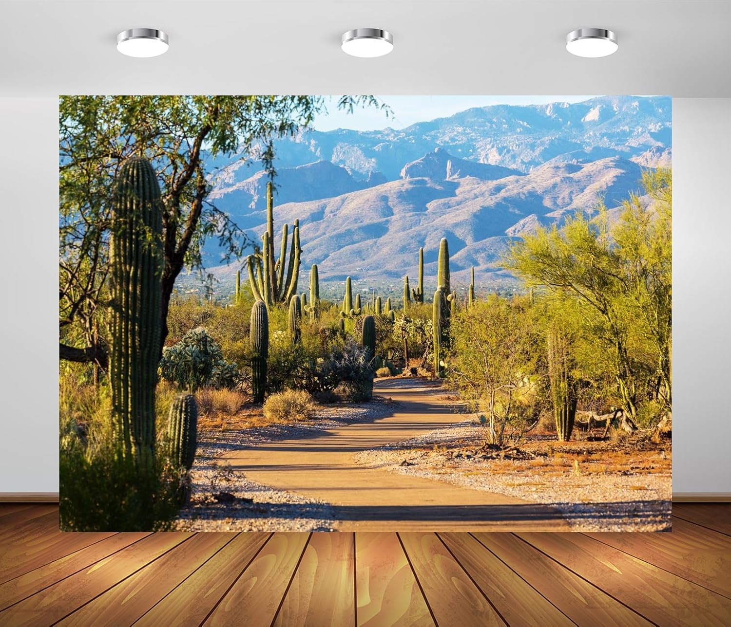 BELECO 7x5ft Fondo de Tela Fotografía Parque Nacional Saguaro Desierto