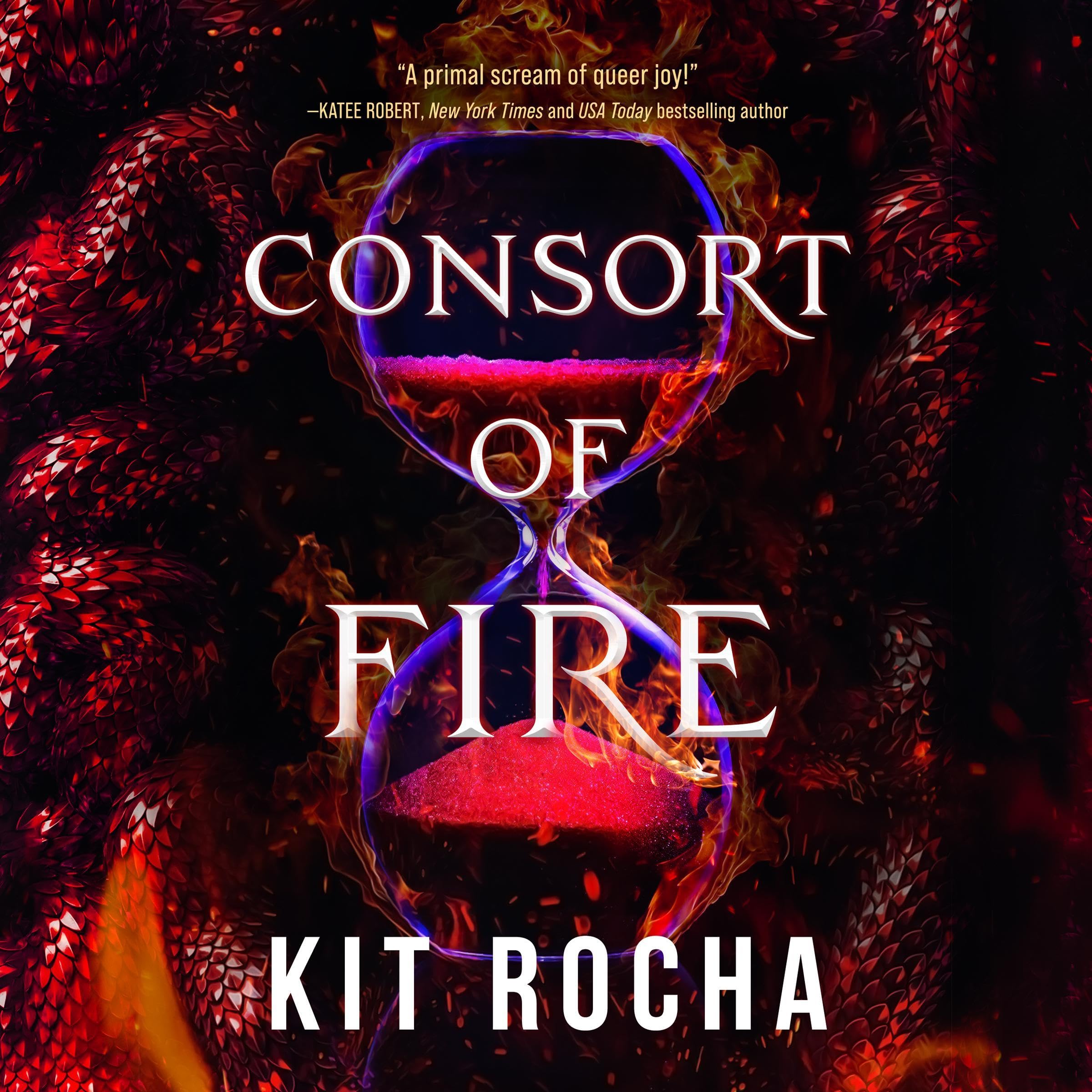 Cover art for Consort of Fire