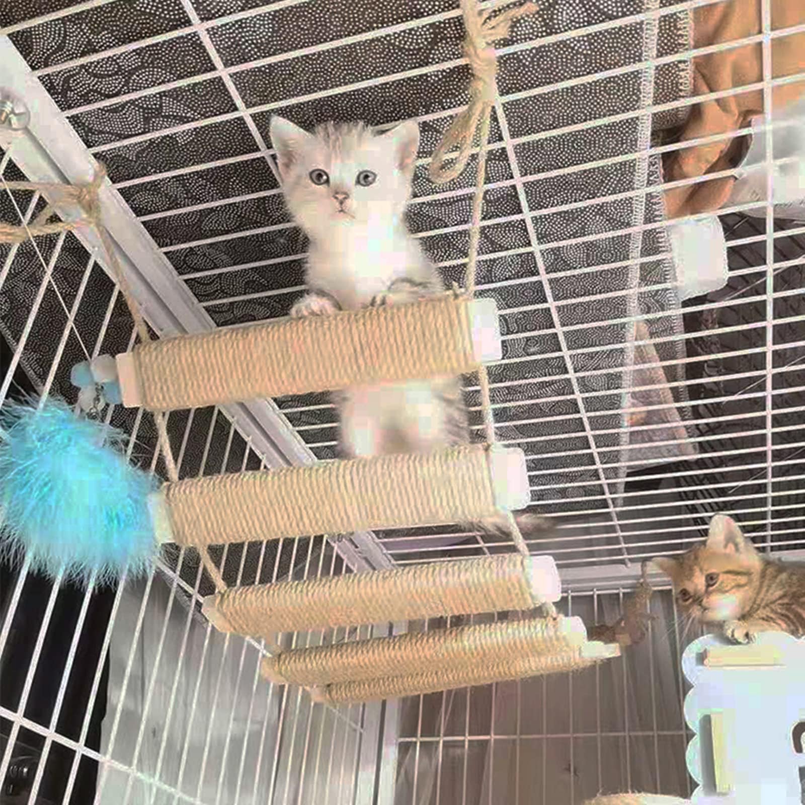 Pont d'échelle pour chat pour mur, cadre d'escalade, corde d'escalade pour chat, jouets, arbre à chat d'extérieur, corde en sisal, cadre d'escalade, meubles pour animaux de compagnie (A, 100 cm, 1)
