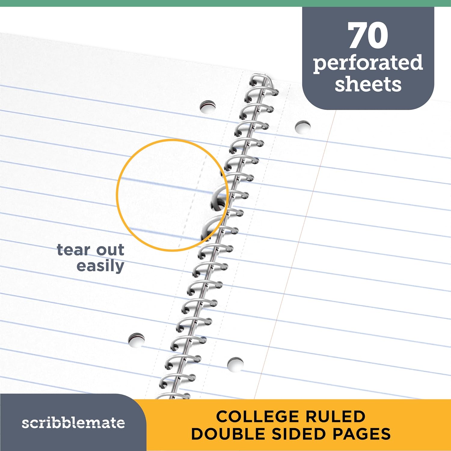 Spiral Notebooks College Ruled 1 Subject Spiral Notebook Bulk Pack of 48 Assorted Soft Colors, 8 x 10 1/2 Inch, 70 Sheets, Leopard Pattern Bulk Notebooks for Work & School