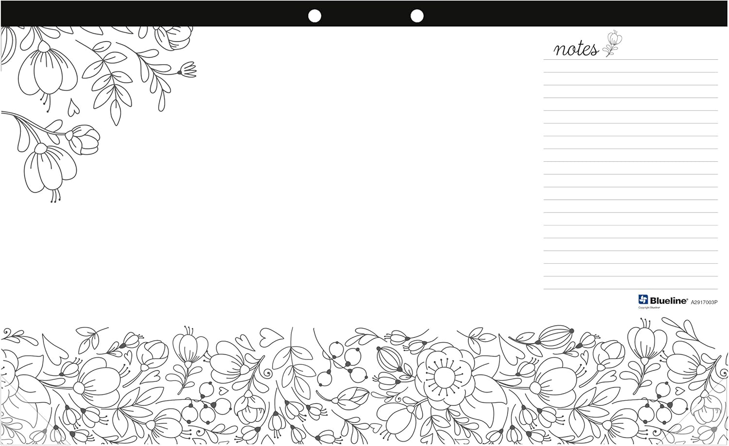 Blueline DoodlePlan Coloring Desk Pad, Garden Design, 17.75 x 10.875 inches (A2917003P) : Office Products