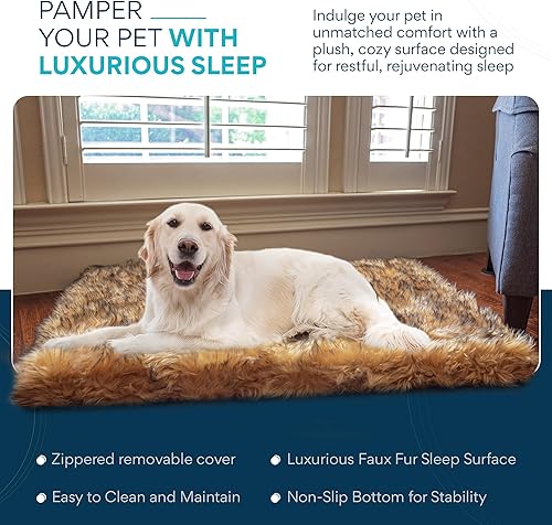 Miniatura 5 de Cama ortopédica para perros pequeños/medianos, cama para mascotas de espuma viscoelástica de apoyo con funda extraíble lavable y parte inferior