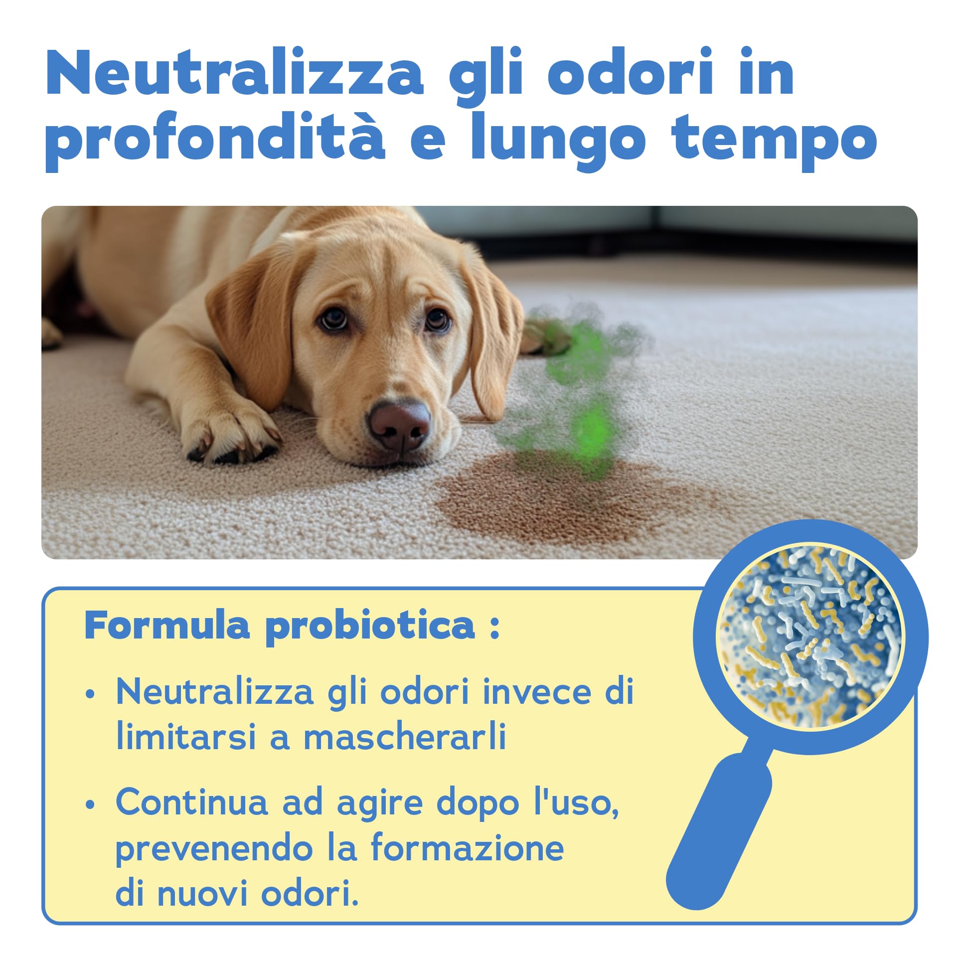 Bio-Chem - Rimuovi odori per cani 3 x 750 ml - Rimuovi odori di urina di cani - Detergente della lettiera del cane - Prodotti per la pulizia della casa