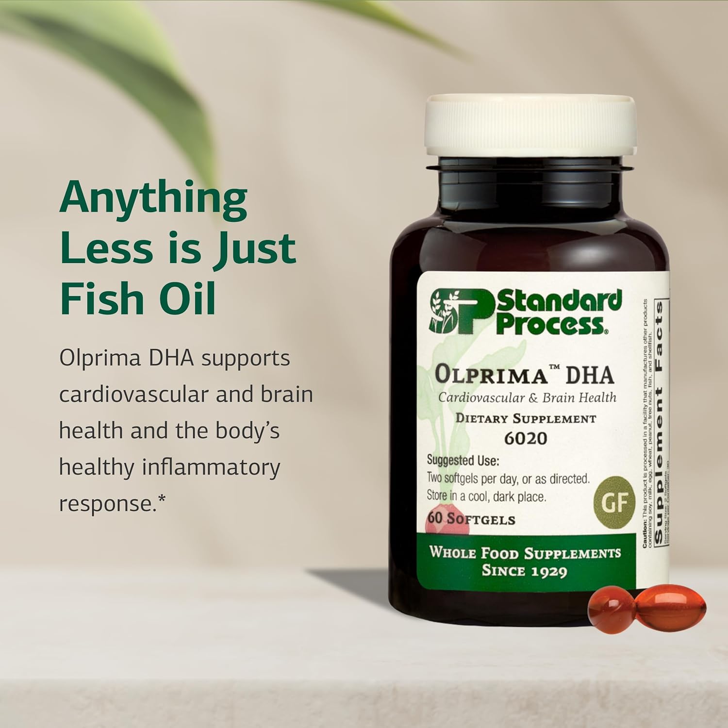 Standard Process Olprima DHA - Omega-3 Supplement for Heart & Brain Health - Gluten-Free, Non-Dairy & Non-Soy - 60 Softgels (30 Servings) - Image 3