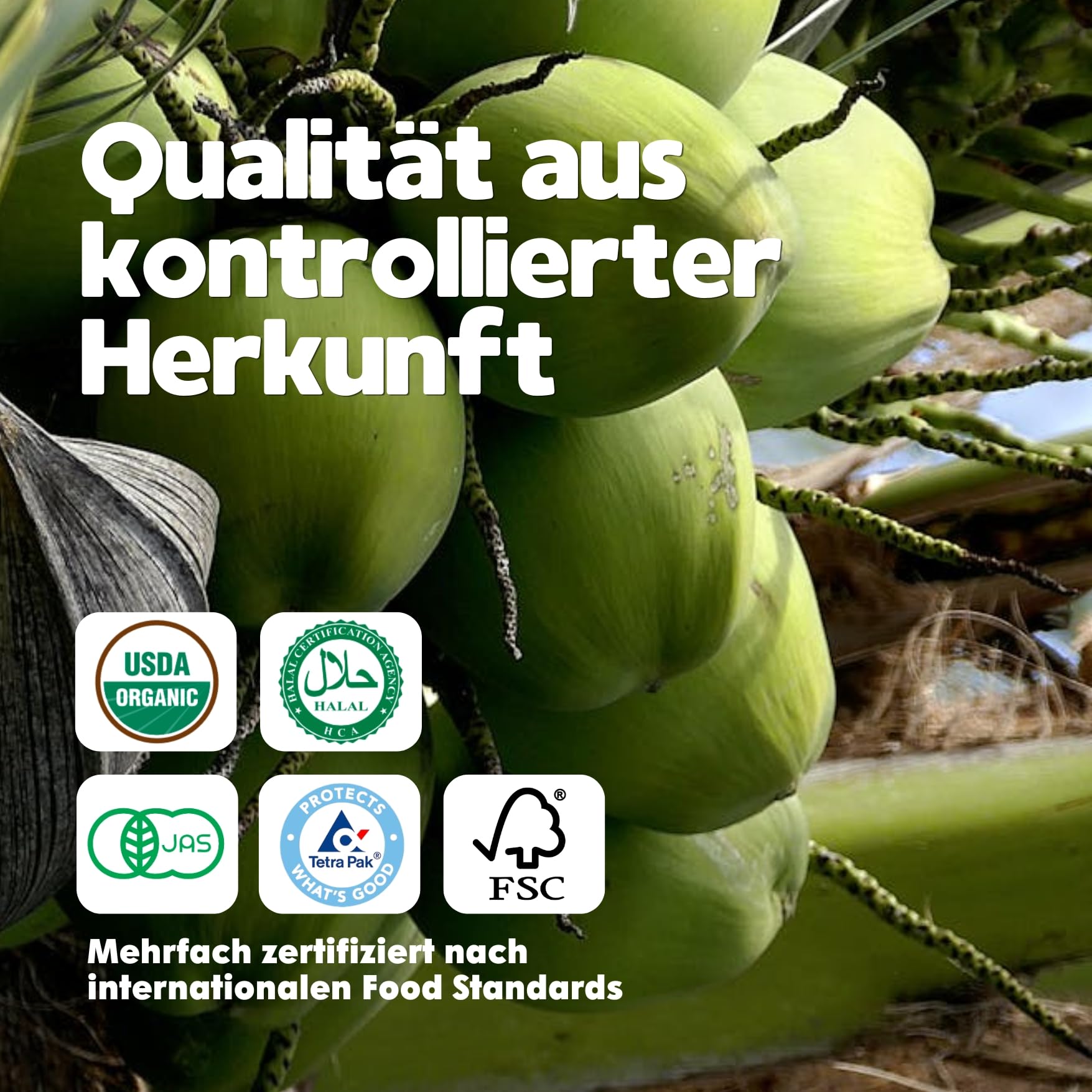 Vietcoco Kokoswasser 12 × 330 ml – 100% Pures Kokoswasser – ohne Zucker – Reich an Elektrolyten & Vitamin C – Erfrischend im Geschmack – Kalorienarm – Isotonisch & Lecker