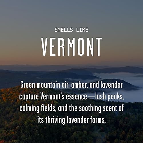 Vista 188 de Regalos de Nueva York, decoración de Nueva York para el hogar – 'There No Place Like New York Candle, con manzana jugosa, canela y calabaza I New