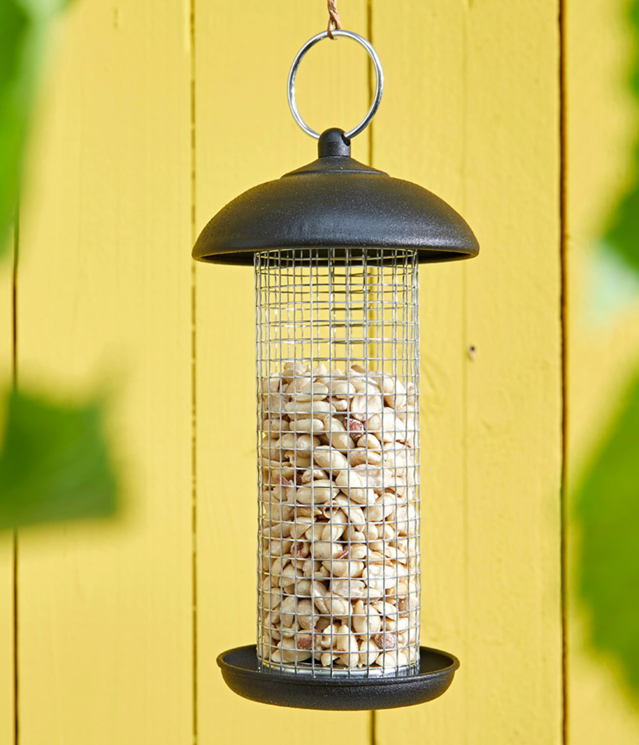 Dehner Natura Premium Nourriture pour Oiseaux Sauvages Arachides 20 kg