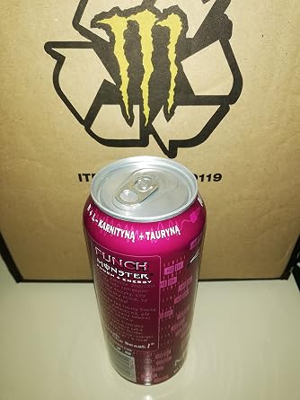 1 x 12 Monster Energy Punch Mixxd cans PL (12 x 0,5 L)