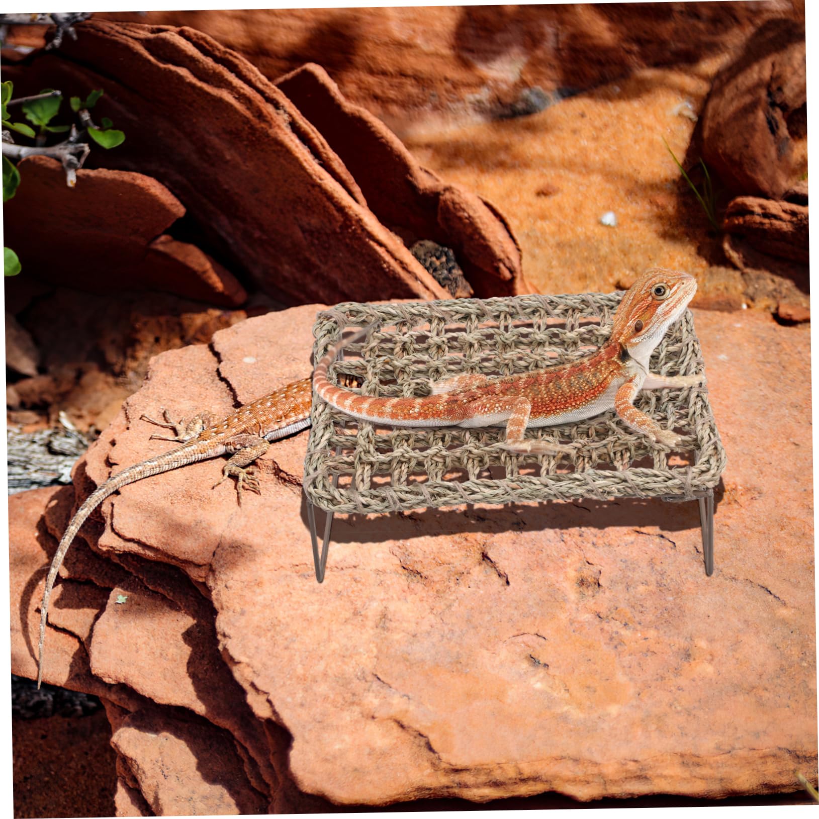 Hamac Tissé pour Dragon Barbu et Lézards 2pcs, Résistant à l'usure, Amovible et Lavable, pour Aire de Repos ou Cachette Terrarium