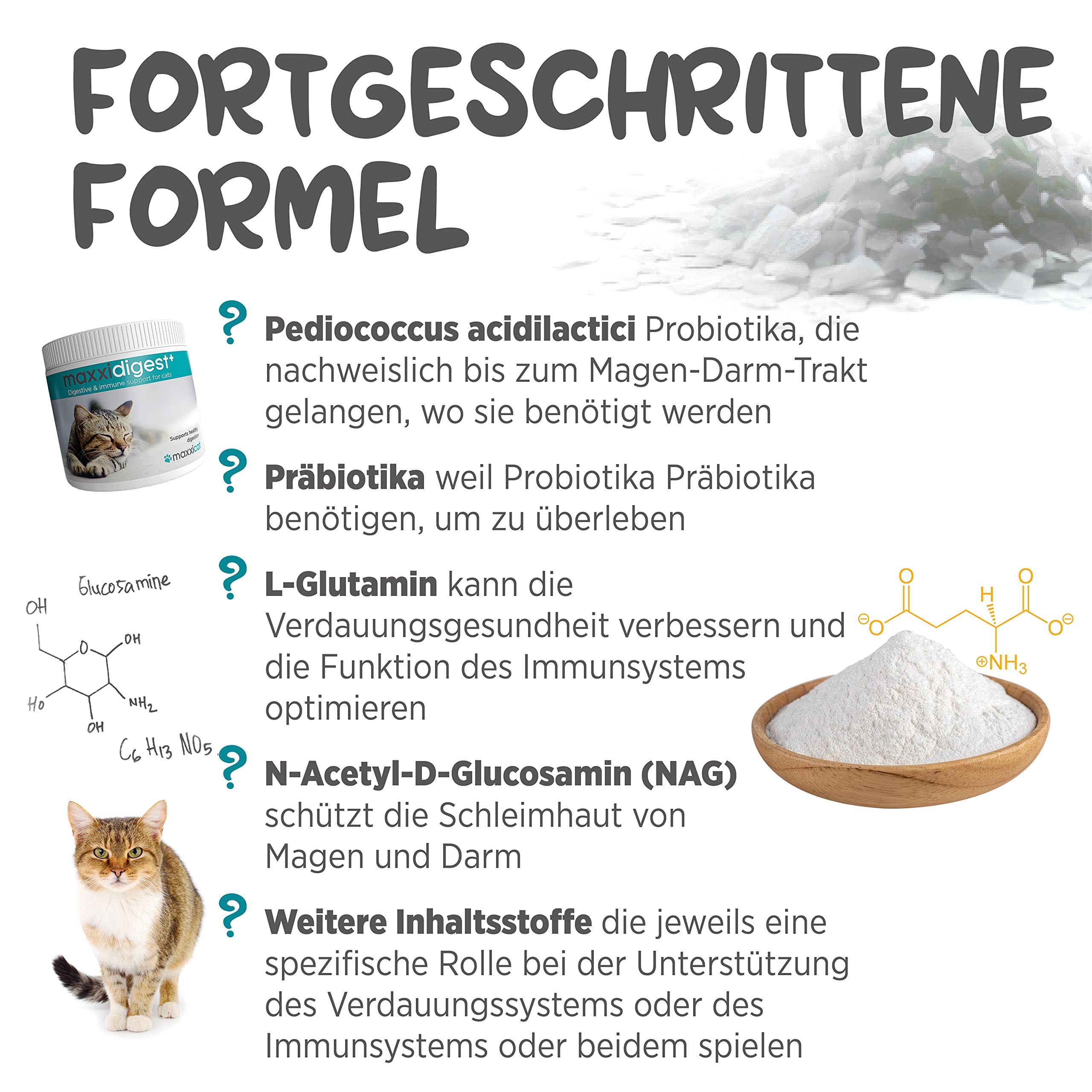 maxxipaws maxxidigest+ Probiotische & präbiotische Pulverergänzung - Verdauungs- und Immununterstützung für Katzen, 200g