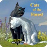 Cats of the Forest
