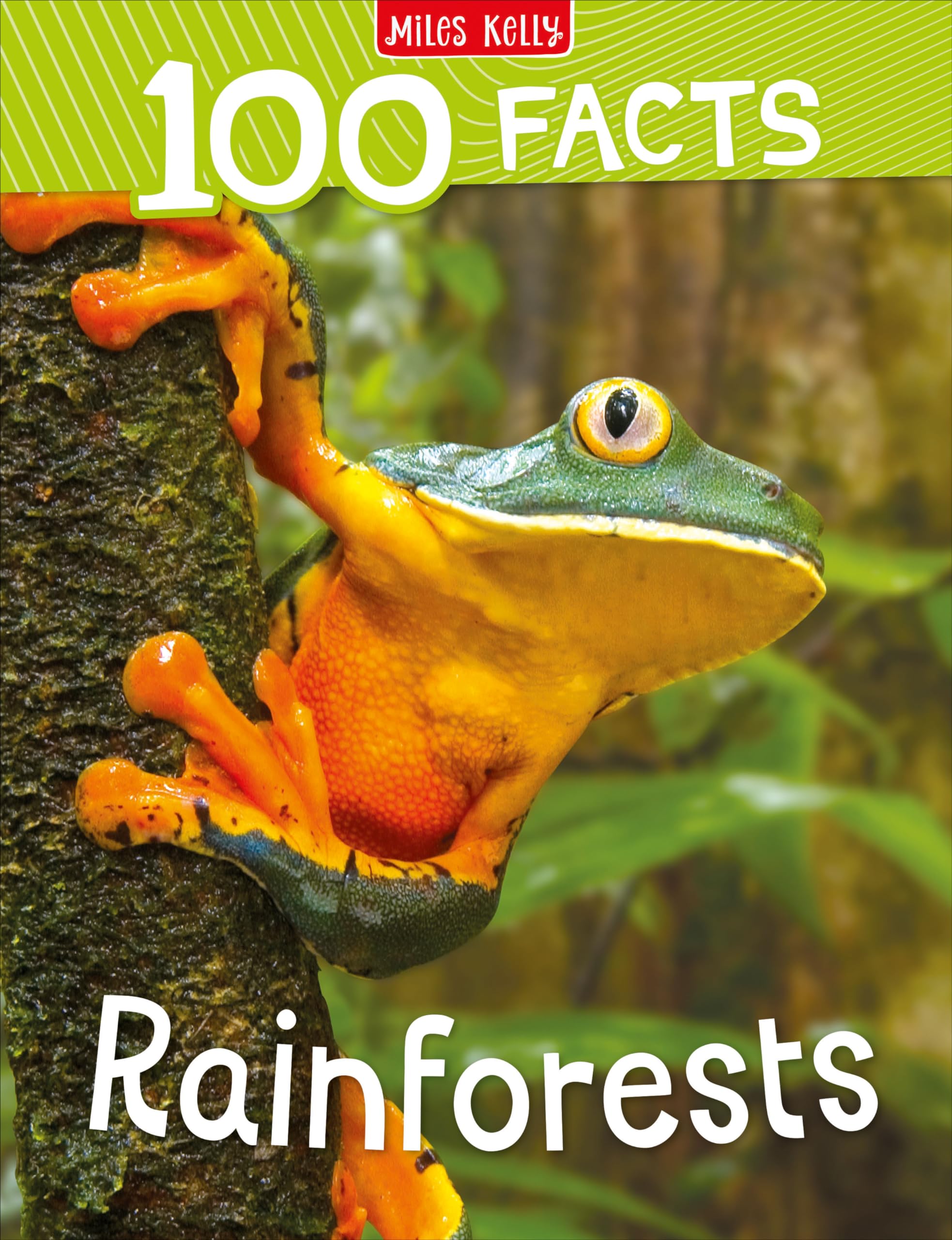 100 Facts Rainforests – Bitesized Facts & Awesome Images to Support KS2 Learning: A Popular Non-Fiction Wildlife Guide with 100 Facts for Children