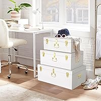 Vista 76 de Vixdonos Juego de 2 baúles decorativos de almacenamiento de caja de metal con asa (blanco con cierres de bronce)