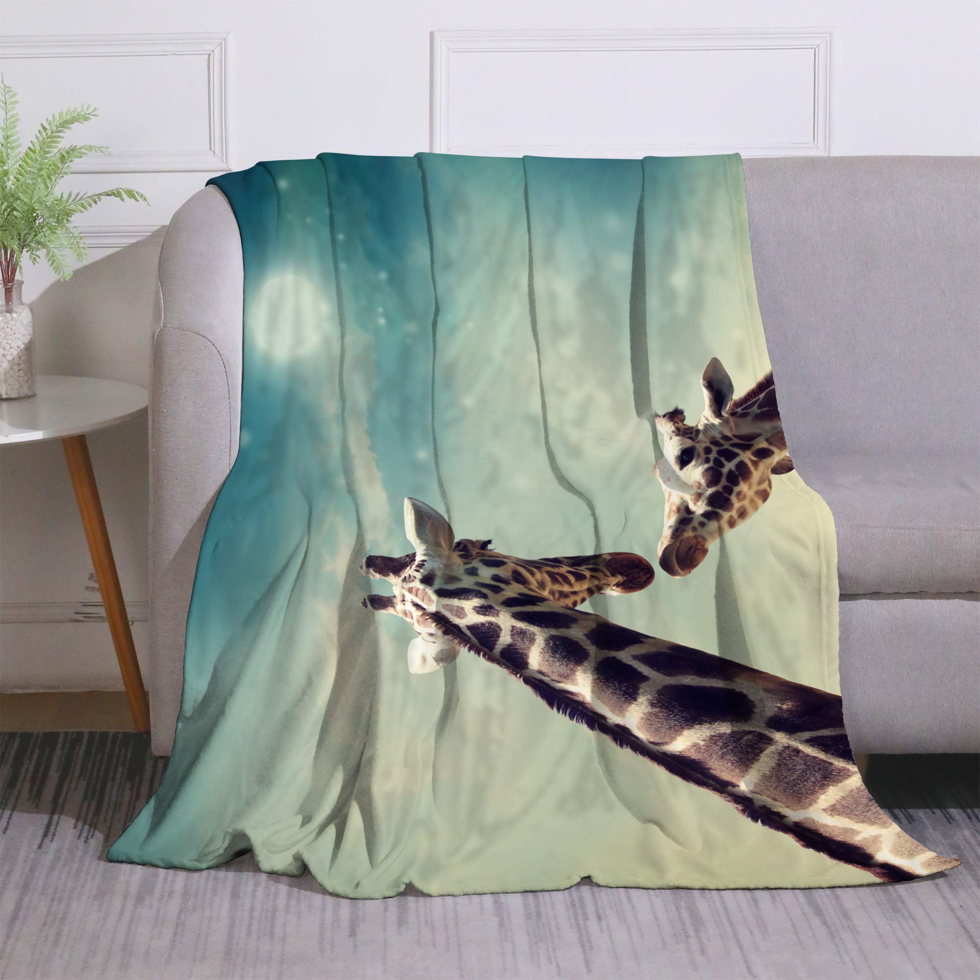 Amazon.com: Miblor Two Giraffes in Friendship at Twilight Flannel Throw  Blanket for Bed Couch Sofa Super Soft Warm Plush Blanket Bedspread Gift  Idea 60x80 Inch : Home u0026 Kitchen