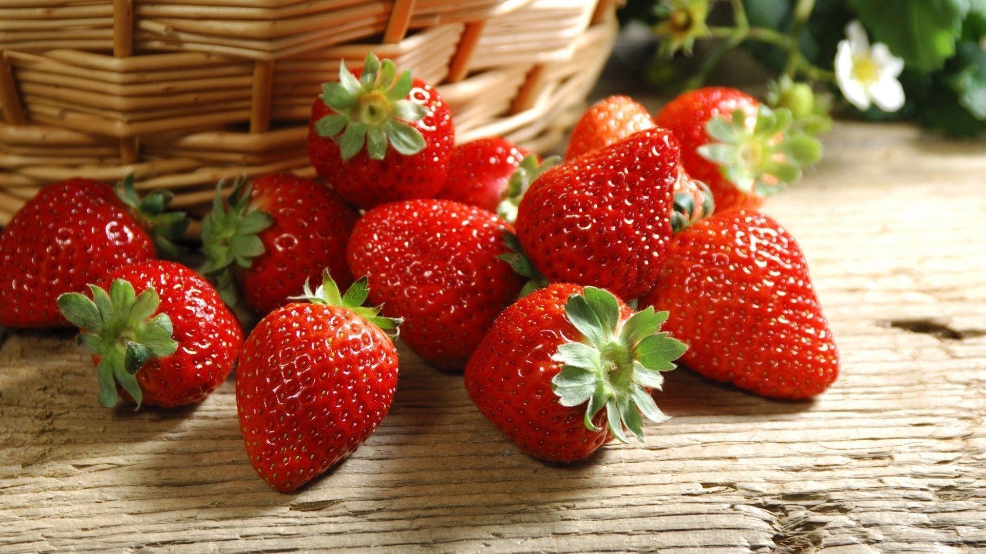 Creative Farmer Herb Seeds For Garden - European Strawberry Hybrid Kitchen Garden Pack (B0753M39XW) Amazon Price History, Amazon Price Tracker