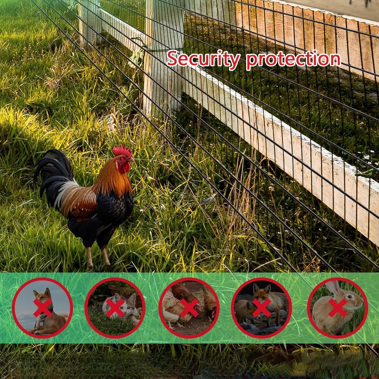 Genérico Rollo de Malla de Alambre de Acero Inoxidable Resistente para gallinero, Red de protección soldada para jardín, Malla versátil para Granjas y hogares, fácil de Cortar (1 m x 8 m / 39 Pulgada