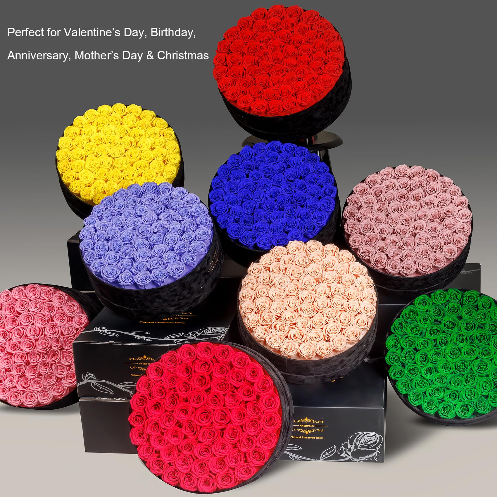 NATROSES Gifts for Her 27 Piece Forever Preserved Roses in a Box, Preserved Flowers for Delivery Birthday, Flowers Gifts for Mothers Day, Dusty Pink: Red 60 Roses