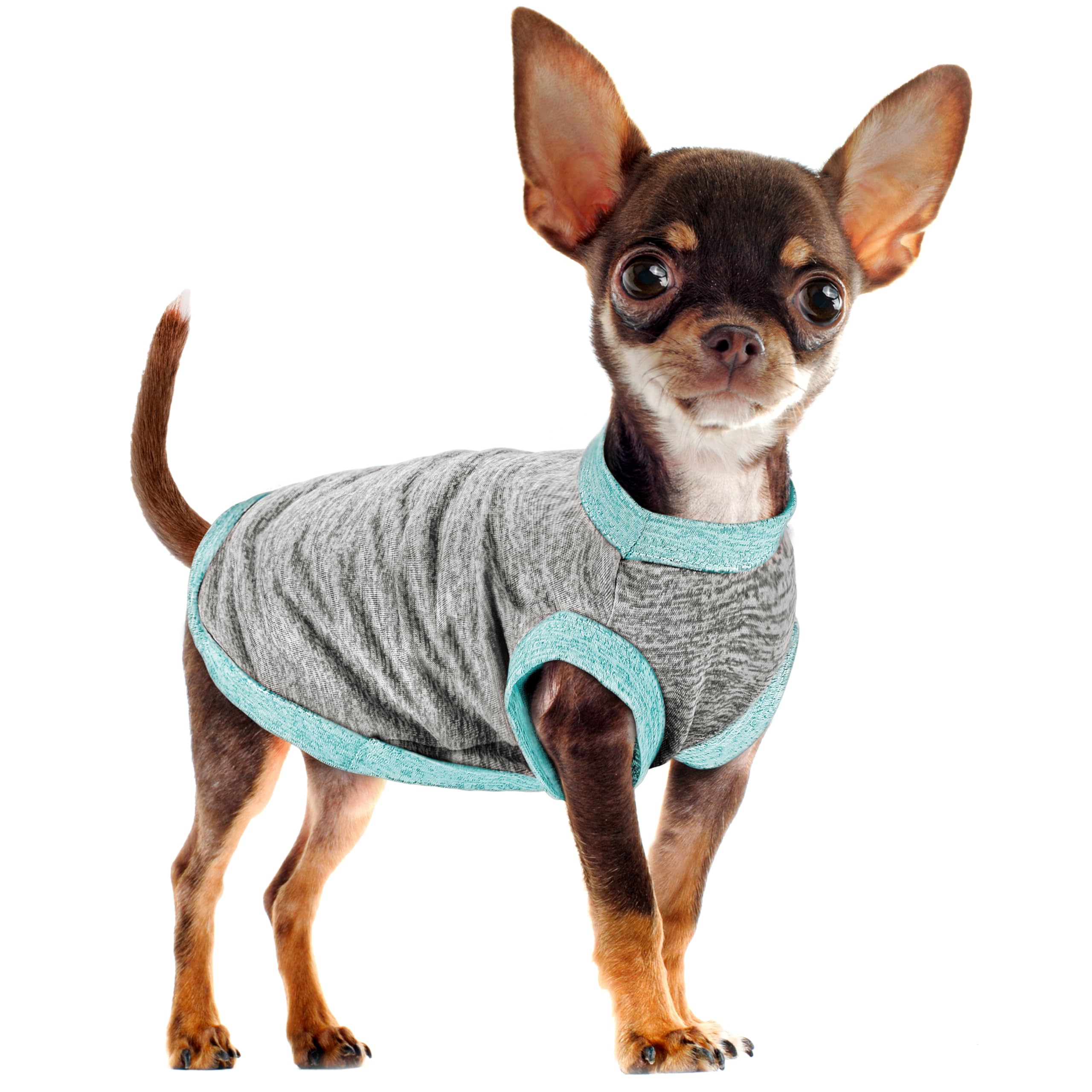 Chic Ion Polyester Dog Vest: Adorable Fashion Apparel for Small, Medium, and Large Breeds, Moisture-Wicking, Soft, Anti-Static, Durable, and
