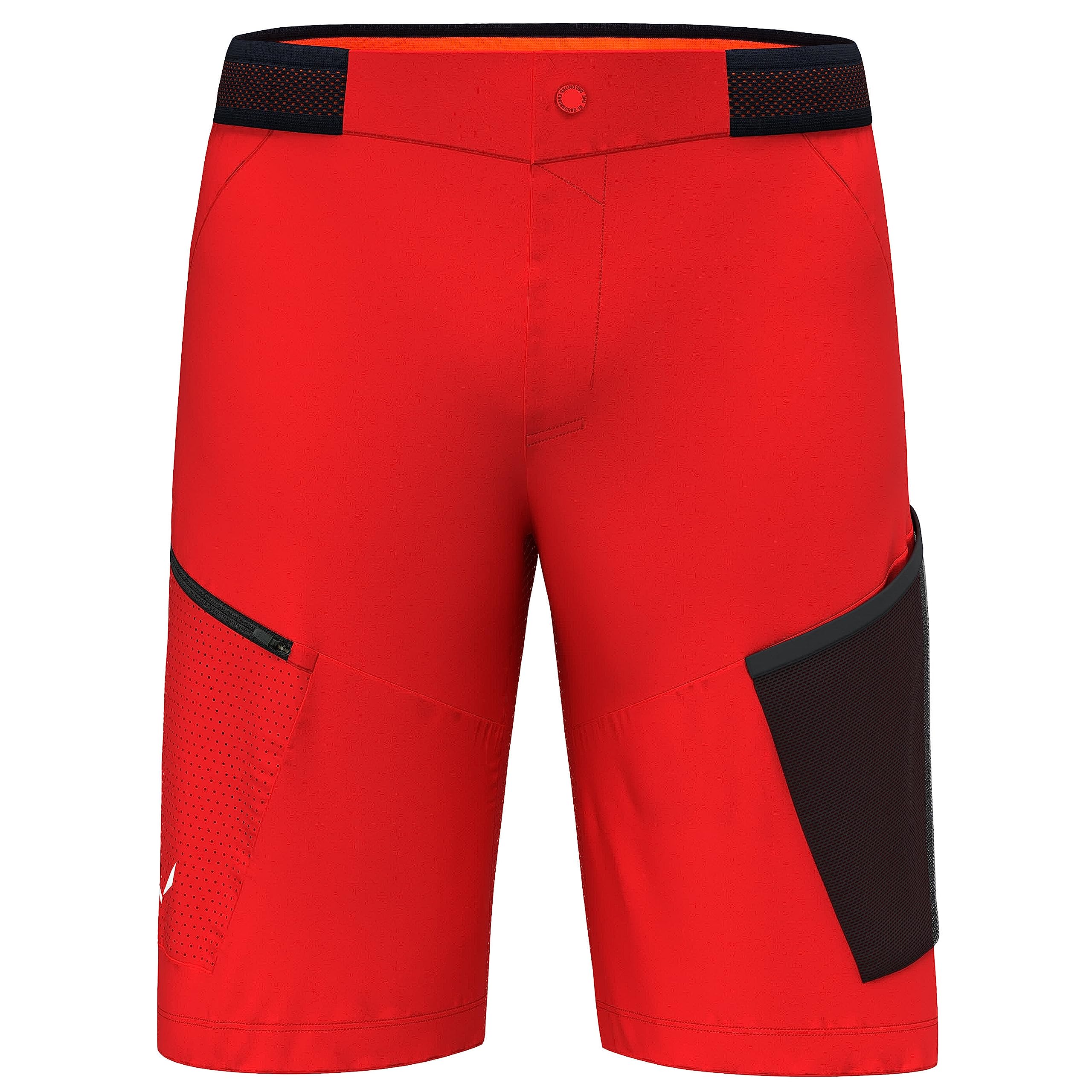 Salewa Herren Pedroc 3 DST Cargo Shorts Pants Kurze Hose