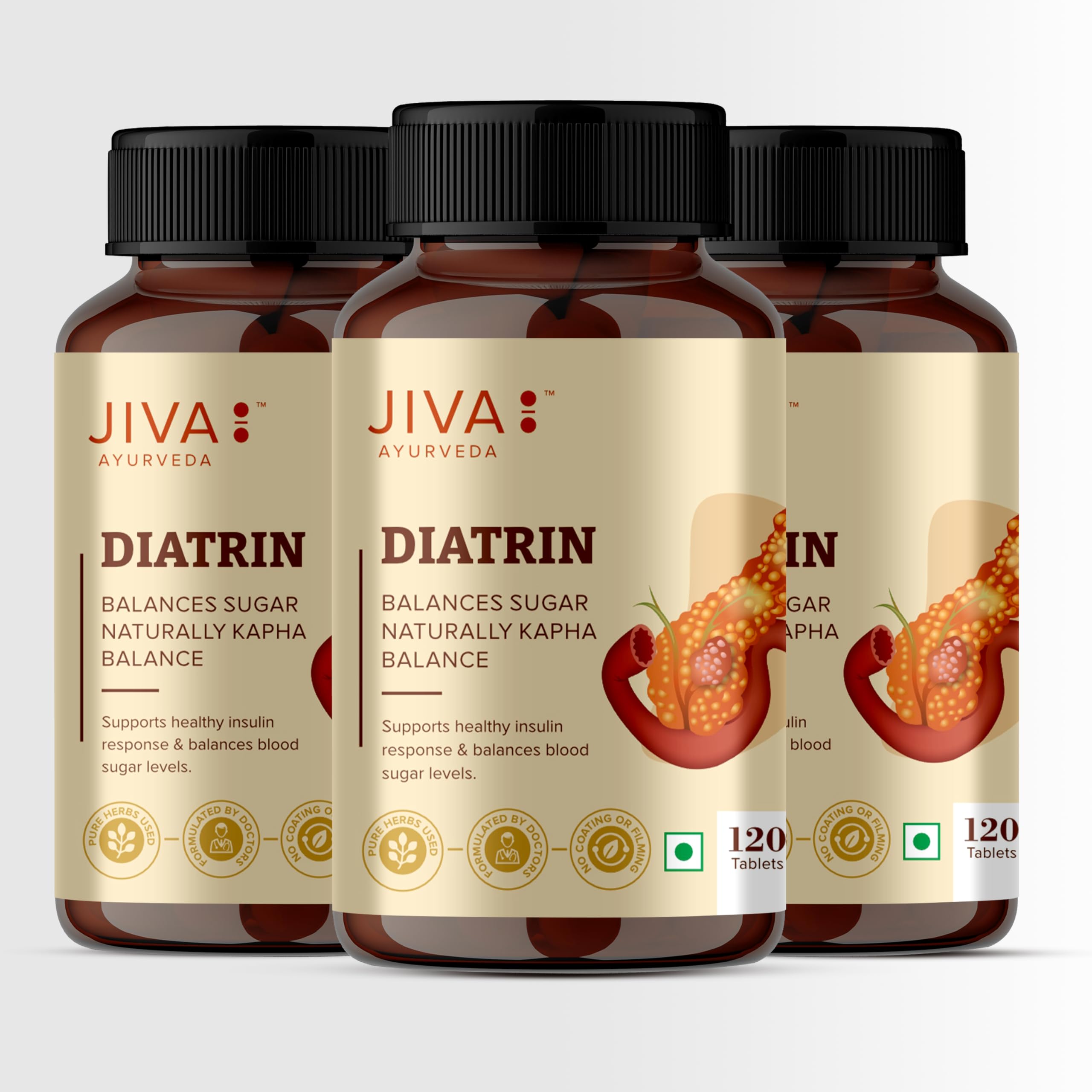 Jiva Diatrin Tablets 500mg | 100% Ayurvedic Formulation | Manages Blood Sugar Levels, Improves Metabolism & Strengthens the Pancreas | Balances Tri-Dosha- 120 Tablets (Pack of 3)-image-18