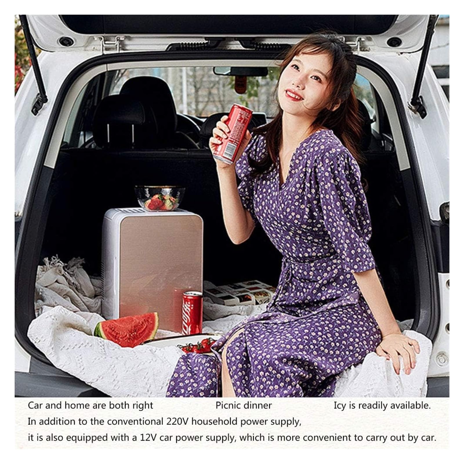 12L Mini Frigo Per Camera Da Letto Frigorifero Piccolo Più Fresco E Più Caldo Reefer Portatile Coolbox Elettrico Compatibilità Di Alimentazione AC DC Per La Cura Della Pelle, Cosmetici, Casa E Viaggi(
