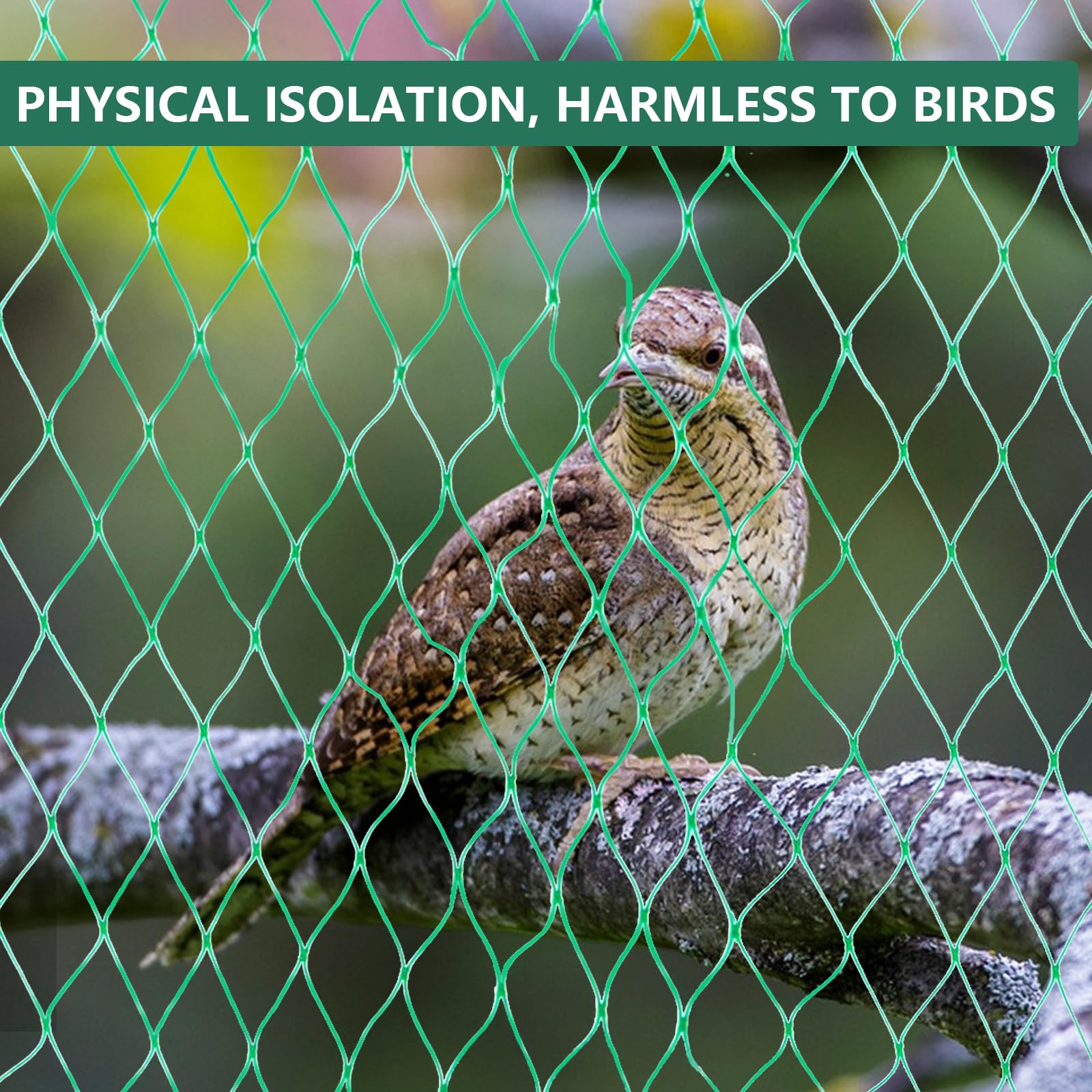 Filet Anti Oiseaux, 4m X 10m Filet De Protection Contre Les Oiseaux