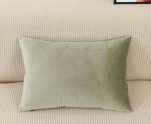 Miniatura 7 de TangDepot Juego de 2 fundas de almohada de terciopelo súper suaves, fundas de almohada lumbar, fundas de almohada - (12 x 18 pulgadas, 2 piezas, F01