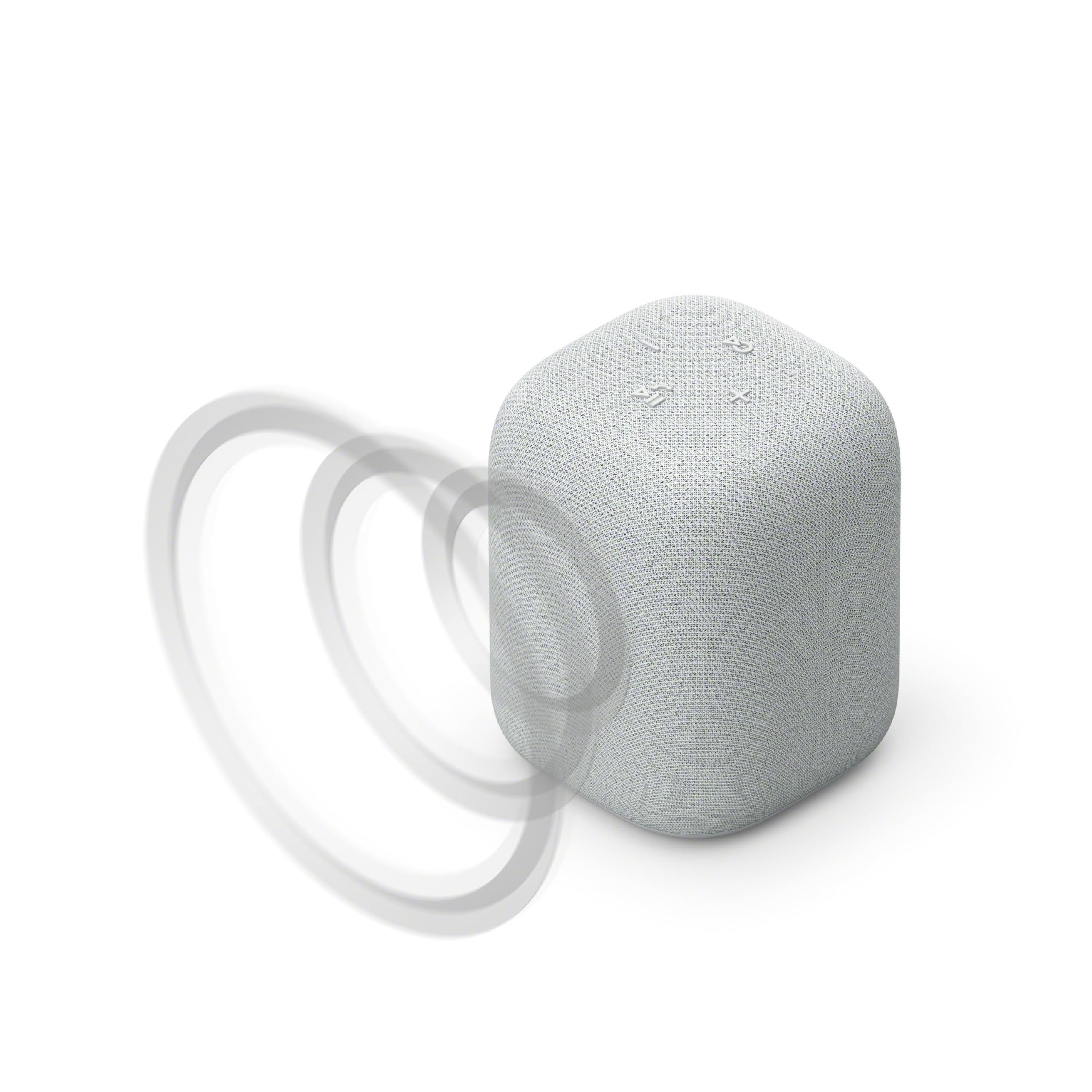 Sony LinkBuds Speaker przenośny bezprzewodowy głośnik Bluetooth ze stacją ładującą, IPX4, wodoodporny, 25-godzinny akumulator, jakość dzwonka, głośnik domowy, szary