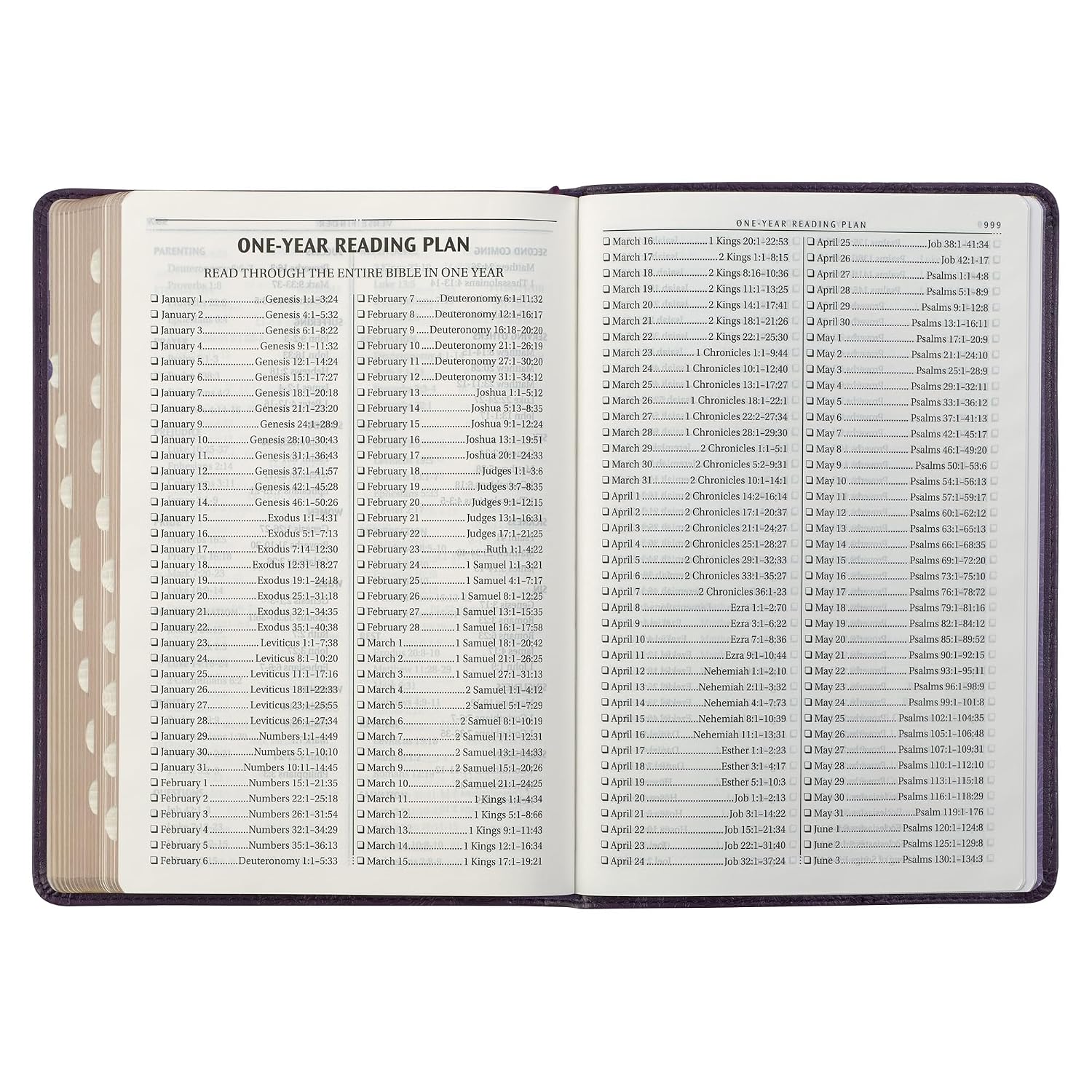 KJV Holy Bible, Thinline Large Print Faux Leather Red Letter Edition Thumb Index & Ribbon Marker, King James Version, Purple Floral (KJV Thinline LP Editions)